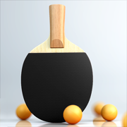 虚拟拼乒乓球v5.6.8版