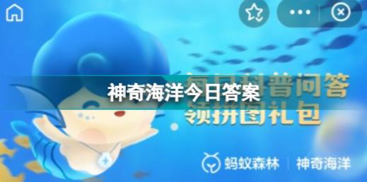 中华鲟属于国家一级保护海洋动物吗 神奇海洋今日答案3.27