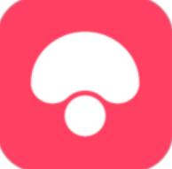蘑菇街app苹果下载安装